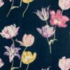 Tulipomania 216667